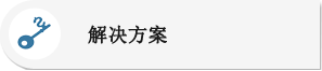 解决方案 Alternate Text